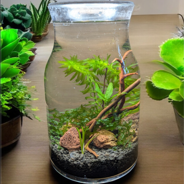 Ecosystems
