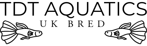Tdt Aquatics 